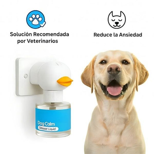 Therapet Perro Difusor